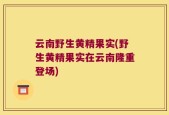 云南野生黄精果实(野生黄精果实在云南隆重登场)