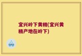 宜兴岭下黄精(宜兴黄精产地在岭下)