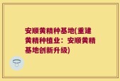 安顺黄精种基地(重建黄精种植业：安顺黄精基地创新升级)