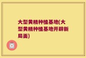 大型黄精种植基地(大型黄精种植基地开辟新局面)