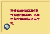 惠州黄精种苗基地(惠州黄精种植基地：品质优良的黄精种苗首选之地)