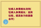 牡蛎人参黄精丸功效(牡蛎人参黄精丸：滋阴壮阳，提高体力和健康水平)