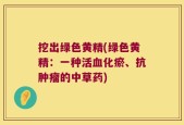 挖出绿色黄精(绿色黄精：一种活血化瘀、抗肿瘤的中草药)