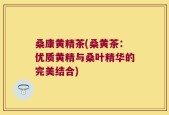 桑康黄精茶(桑黄茶：优质黄精与桑叶精华的完美结合)