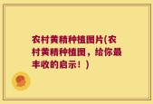 农村黄精种植图片(农村黄精种植图，给你最丰收的启示！)
