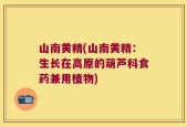 山南黄精(山南黄精：生长在高原的葫芦科食药兼用植物)