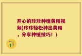 开心的珍珍种植黄精视频(珍珍轻松种出黄精，分享种植技巧！)