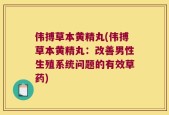 伟搏草本黄精丸(伟搏草本黄精丸：改善男性生殖系统问题的有效草药)