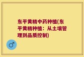 东平黄精中药种植(东平黄精种植：从土壤管理到品质控制)