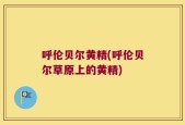 呼伦贝尔黄精(呼伦贝尔草原上的黄精)