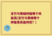 玉竹与黄精种植哪个效益高(玉竹与黄精哪个种植更具盈利性？)