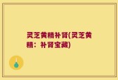 灵芝黄精补肾(灵芝黄精：补肾宝藏)