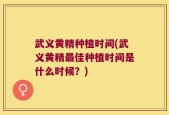 武义黄精种植时间(武义黄精最佳种植时间是什么时候？)