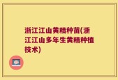 浙江江山黄精种苗(浙江江山多年生黄精种植技术)