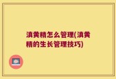 滇黄精怎么管理(滇黄精的生长管理技巧)