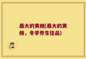 最大的黄精(最大的黄精，冬季养生佳品)