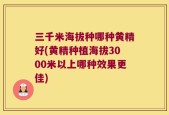 三千米海拔种哪种黄精好(黄精种植海拔3000米以上哪种效果更佳)