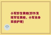小军野生黄精(野外发现罕见黄精，小军亲身采摘护理)