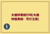 大棚种黄精行吗(大棚种植黄精：可行之路)