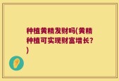 种植黄精发财吗(黄精种植可实现财富增长？)