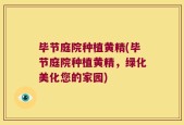 毕节庭院种植黄精(毕节庭院种植黄精，绿化美化您的家园)