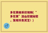多花黄精采挖视频(“多花黄”深山挖掘秘密，发现珍贵灵芝！)