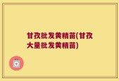 甘孜批发黄精苗(甘孜大量批发黄精苗)