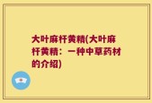 大叶麻杆黄精(大叶麻杆黄精：一种中草药材的介绍)