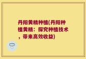 丹阳黄精种植(丹阳种植黄精：探究种植技术，带来高效收益)