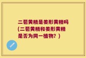 二苞黄精是姜形黄精吗(二苞黄精和姜形黄精是否为同一植物？)