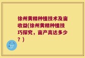 徐州黄精种植技术及亩收益(徐州黄精种植技巧探究，亩产高达多少？)