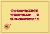 桐柏黄精种植基地(桐柏黄精种植基地——尝鲜寻味黄精的理想去处)
