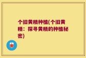 个旧黄精种植(个旧黄精：探寻黄精的种植秘密)