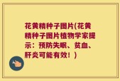 花黄精种子图片(花黄精种子图片植物学家提示：预防失眠、贫血、肝炎可能有效！)