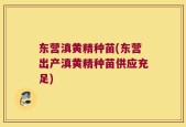 东营滇黄精种苗(东营出产滇黄精种苗供应充足)