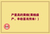 产量高的黄精(黄精盛产，丰收喜讯传来！)
