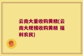 云南大量收购黄精(云南大规模收购黄精 福利农民)