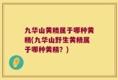 九华山黄精属于哪种黄精(九华山野生黄精属于哪种黄精？)