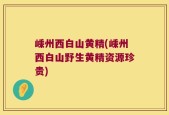嵊州西白山黄精(嵊州西白山野生黄精资源珍贵)