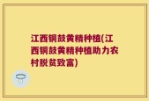 江西铜鼓黄精种植(江西铜鼓黄精种植助力农村脱贫致富)