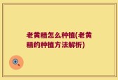 老黄精怎么种植(老黄精的种植方法解析)