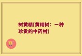 树黄精(黄精树：一种珍贵的中药材)