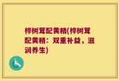 桦树茸配黄精(桦树茸配黄精：双重补益，滋润养生)