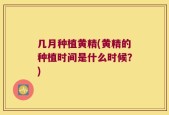 几月种植黄精(黄精的种植时间是什么时候？)