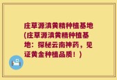 庄草源滇黄精种植基地(庄草源滇黄精种植基地：探秘云南神药，见证黄金种植品质！)