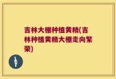 吉林大棚种植黄精(吉林种植黄精大棚走向繁荣)