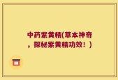 中药紫黄精(草本神奇，探秘紫黄精功效！)