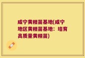咸宁黄精苗基地(咸宁地区黄精苗基地：培育高质量黄精苗)