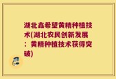 湖北鑫希望黄精种植技术(湖北农民创新发展：黄精种植技术获得突破)