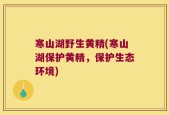 寒山湖野生黄精(寒山湖保护黄精，保护生态环境)